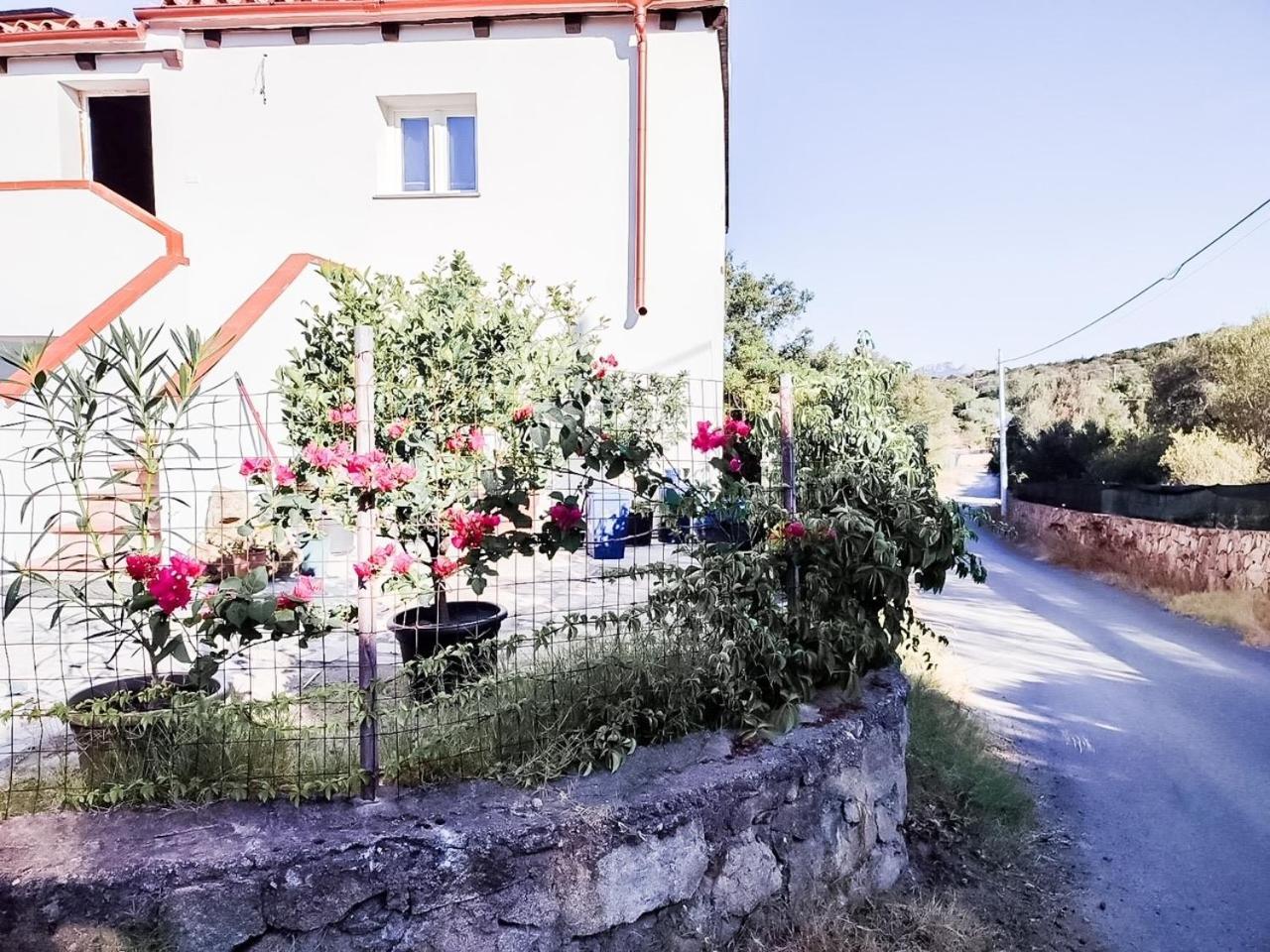 Apartment Casa Marinella Porto Rotondo
